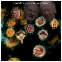 Российские учёные первые сфотографировали "британский" штамм коронавируса