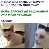 Картинки с надписями