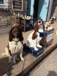 Заказчик доволен)))