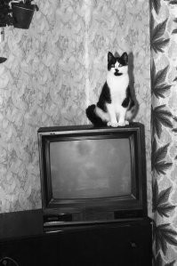 Витязь-51. Отличный аппарат. Прослужил больше 15 лет