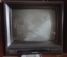 1989 год. Работает до сих пор.