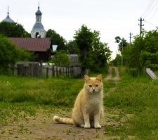 Шуйский район. Суздаль. Кохма. Кинешма.
