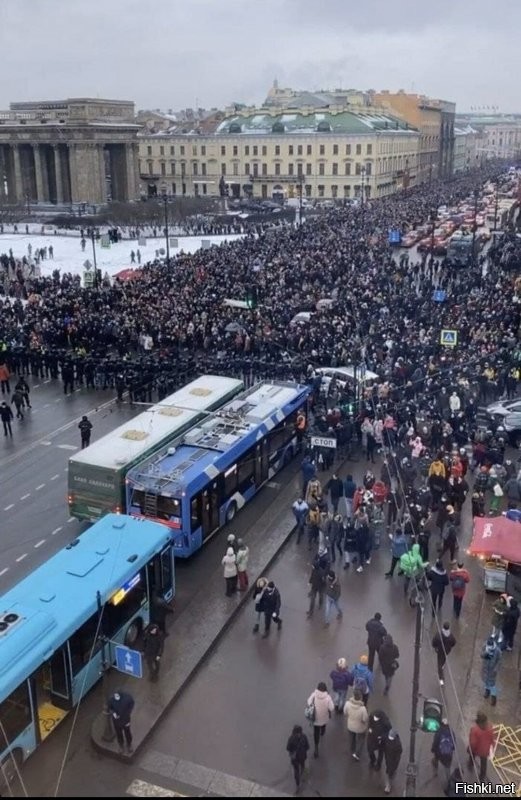 Город, оккупированный козлами