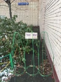 Это, к сожалению, н6е маразм, а жизнь.