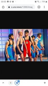 Гульфик - деталь одежды эпохи Возрождения