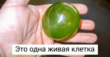Вместо тысячи слов...