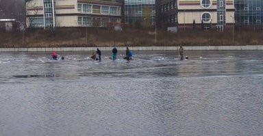 Видать из наших!