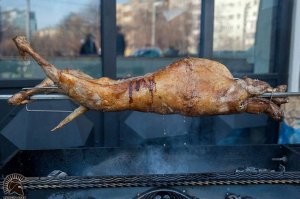 Город, оккупированный козлами