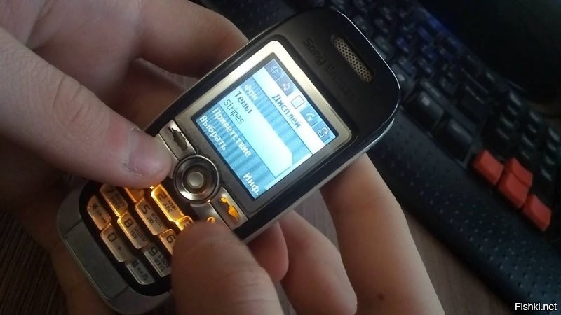 Моим первым телефоном был Sony Ericsson J300i. В то время как у моих друзей на цветных Нокиях звучала полифония, этот телефон поддерживал MP3 и даже тянул 3Д игры со своим маленьким экраном 128х128. Джойстик это вообще был тогда космос. И конечно же "вечные" кнопки. Долго он меня радовал.
