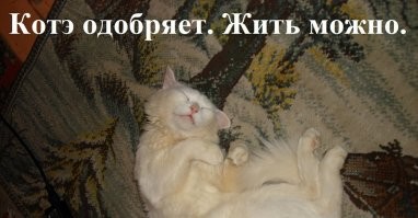 С добрым утром