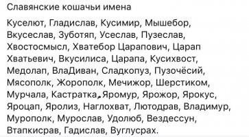 Ну это у уже дворяне в 19 веке стали так котов называть .