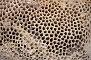 Да,   боязнь кластерных отверстий