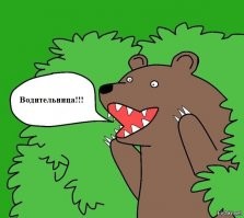 Авария дня. Женщина не смогла совершить обгон в Вологодской области