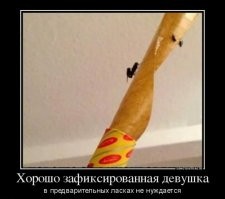 Самцы богомола придумали лайфхак, как не быть съеденными после спаривания