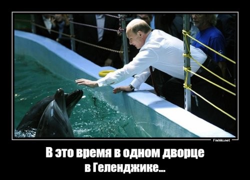 Кошка родила котят - это Путин виноват! :)