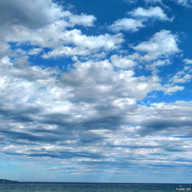 Присылайте свои фотографии неба