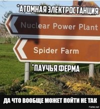 Смешные и познавательные картинки