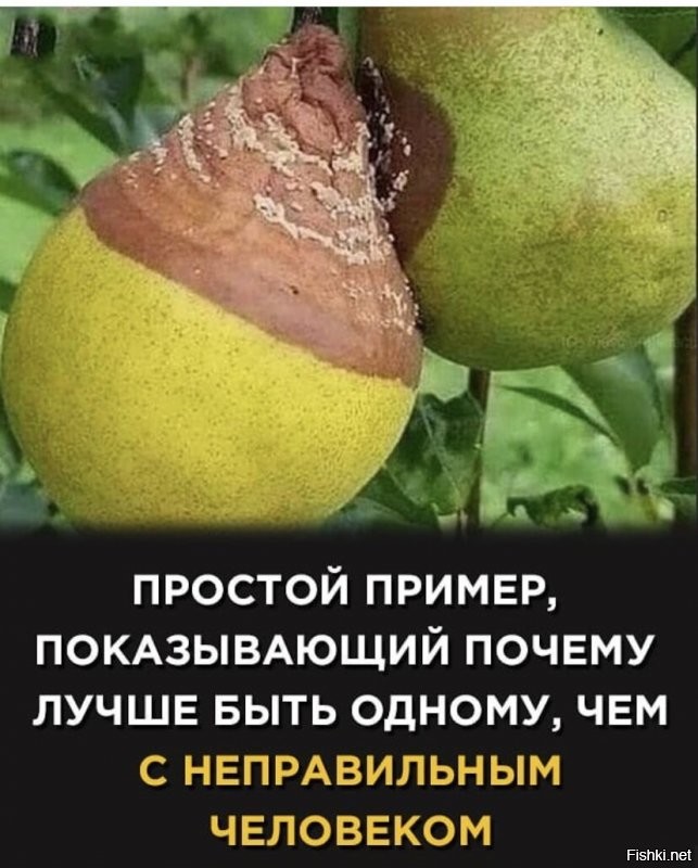 О политике и не только