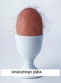 Яйца, которые пугают: встретив, вы не сразу поймете что это такое