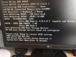 Зверюга рвет все провода)) Хозяйка скрутила как могла и говорит, что-то комп не загружается)