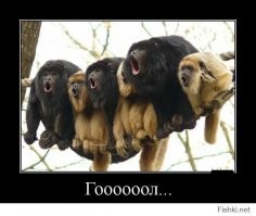 Смешные и познавательные картинки