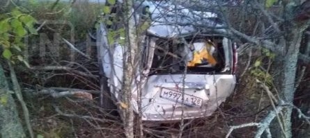 Вот 3,13дарасina