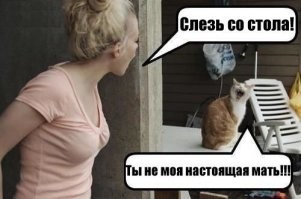 Скрины из соцсетей