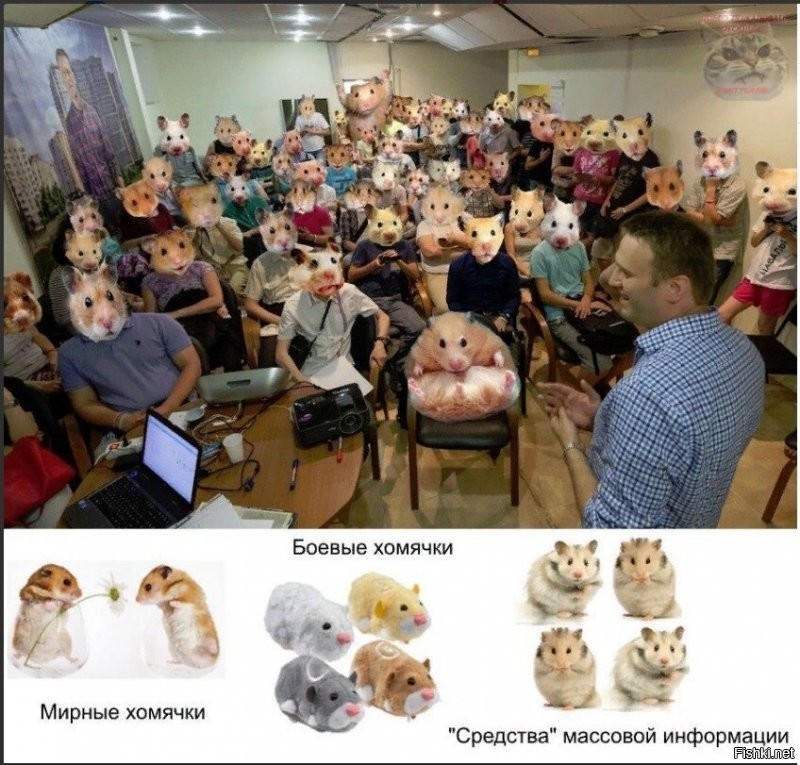 просто ответ на вопрос: "И потом-хомяки -это сторонники путина или навального?"
никого из вас в споре не поддерживаю