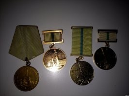 Нестыковки в истории - сожалею, но они есть -

1. В Парголово нет многоэтажных домов - только индивидуальное жилое строительство. Ближайшие городские кварталы - в Шувалово, но и там строительство велось не в середине шестидесятых, а в конце семидесятых.
2. Если пёс погиб только в 1945, стало быть поле всё ещё было полно капусты и зайцев? Кто- то три года подряд сажал овощи, а урожай не убирал? В блокаду?
3. В 1945 году кто- то сделал фотографию пса?
4. Кому понадобилось минировать капустное поле, если фронт был на пятнадцать километров севернее - у Белоострова?
5. Блокаду сняли в 1944, а мины оставили? 

Трогательная история, но не верится. Моя родня (мать в том числе - кстати, все похоронены именно на Шуваловском кладбище) пережила блокаду, знаю о том, что там творилось не понаслышке. И жили они тогда именно в Шувалово - когда их дом разбомбило. Там действительно стреляли гораздо меньше - Финны не вели активных боевых действий.

И не было там неубранных колхозных полей - в первую же зиму - 41 - 42 всё было вычищено под ноль. Голод.

Слышал про кота, который ловил голубей, и тем подкармливал семью, а про собаку - не не слышал. 

Фото в подтверждение слов.