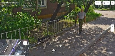 Я гулял с собакой и тоже видел такую машину.
Она нас, похоже, тоже заметила...