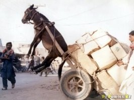 Место, где встречается прошлое и будущее: что творится на дорогах Африки