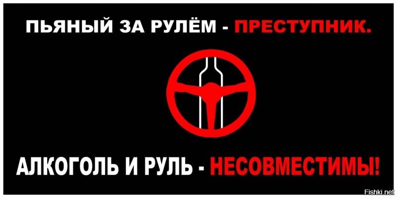 Бухая баба сбила двух пешеходов в Петропавловск-Камчатском