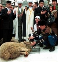 Я знал, я знал, что c коронавирусом всё не просто так!