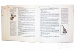 Кстати, хорошая штука ведь была... я такие брошюрки ваял! По образцу ниже, с текстом и картинками на полях...