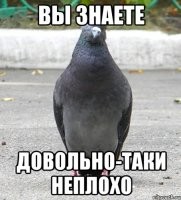 Наша родина многоликая