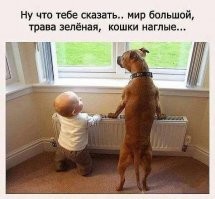 35 трогательных доказательств того, что собака - лучший друг для ребенка