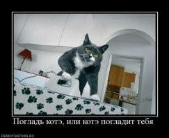 Котейка, прекращай это! До добра не доведёт!