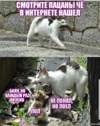 Врачи шутят