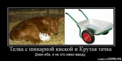 Тема с вариациями