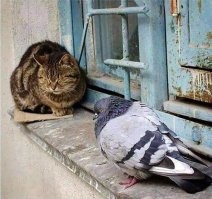 Тема с вариациями