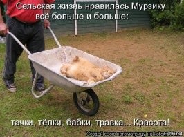 Тема с вариациями