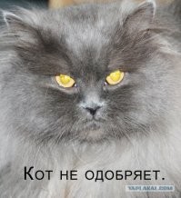 13 полезных идей и лайфхаков от самых смекалистых