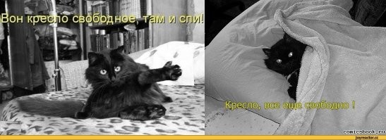 Слишком милые: 30 крох, которые без спроса своруют ваше сердце