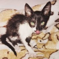 Когда наши хвосты были малышами :)