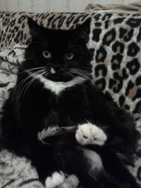 Они милые, потом вырастают и покидают нас. Моя ушедшая подруга, в первый день в мой жизни и уже взрослая.