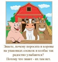 Смешные и познавательные картинки