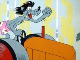 Смешные и познавательные картинки