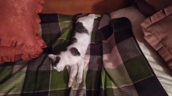 Слишком милые: 30 крох, которые без спроса своруют ваше сердце