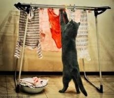 Иди работай, жопа шерстяная))