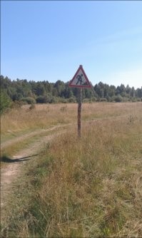 Аналогичное фото делал в Тверской губернии